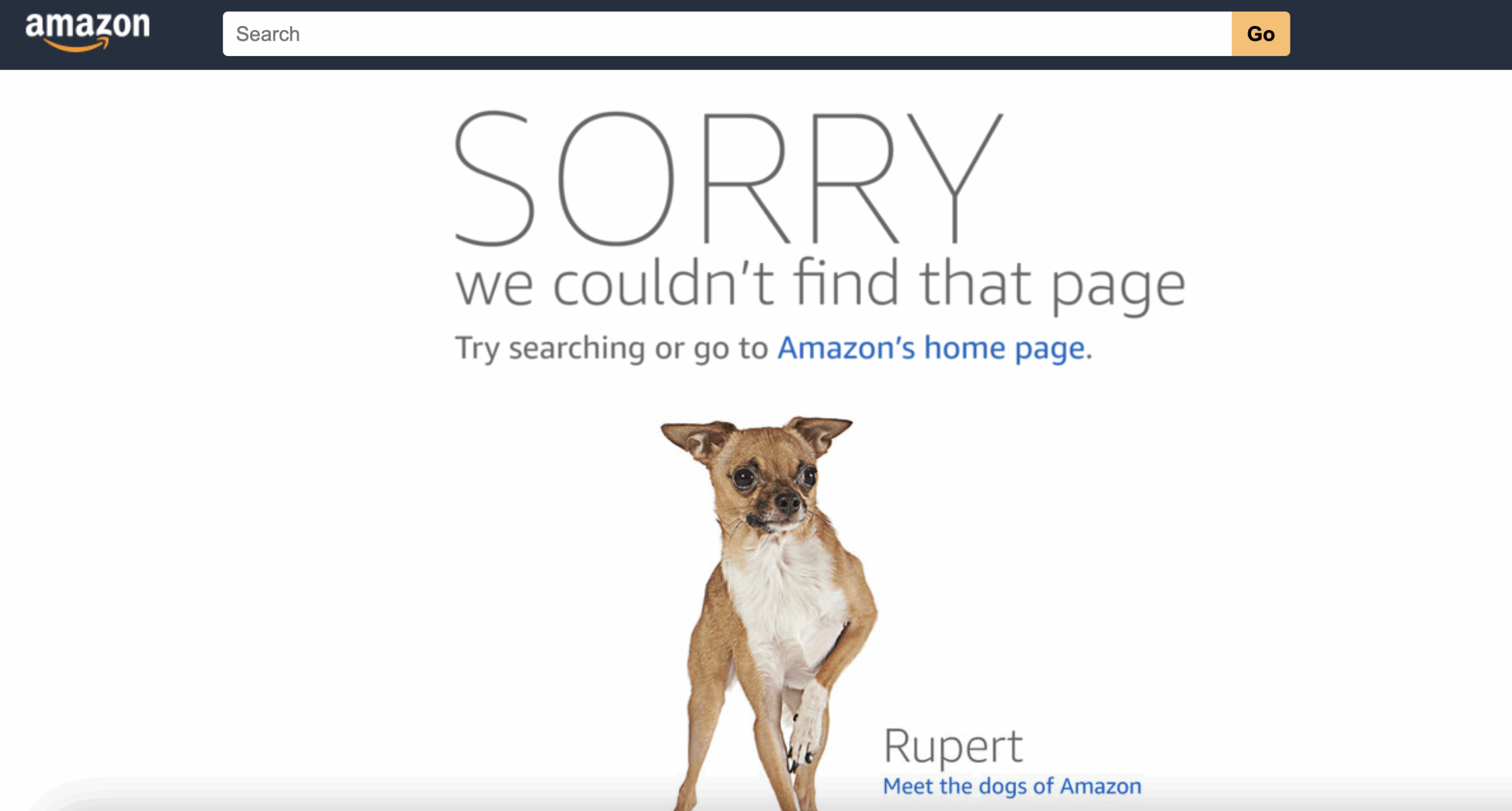 Amazon 404 page